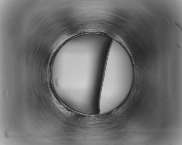 X0000101650795200807100939