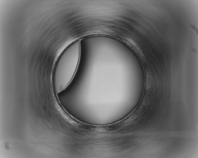 X0000101650796200807100939