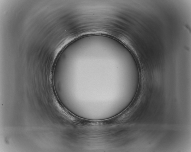 X0000101650797200807100939