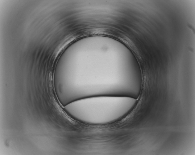 X0000101650798200807100939