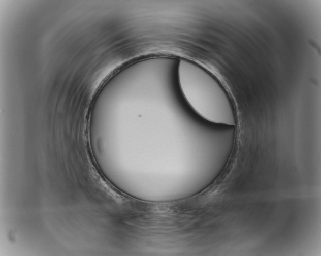 X0000101650799200807100939