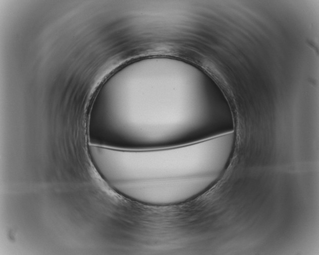 X0000101650800200807100939