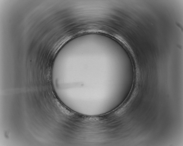 X0000101650801200807100939