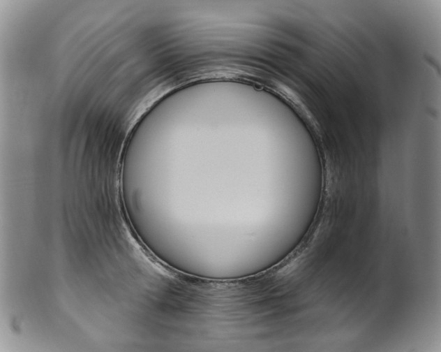 X0000101650802200807100939