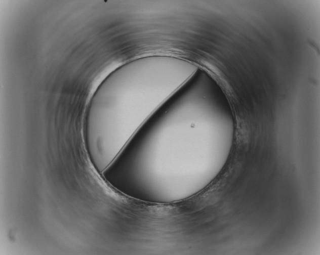 X0000101650804200807100939