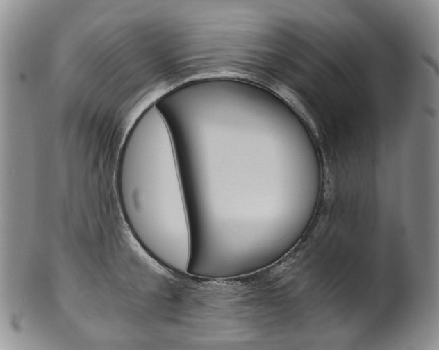 X0000101650805200807100939
