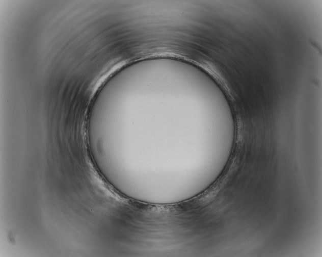 X0000101650806200807100939