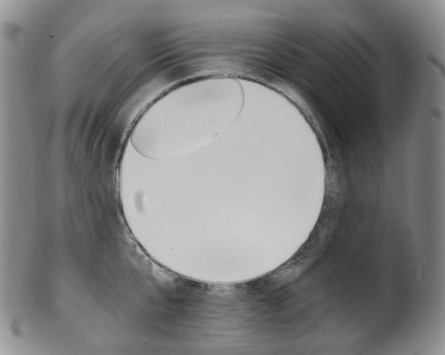 X0000101650807200807100938