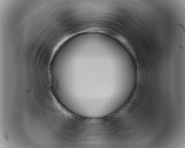 X0000101650808200807100938