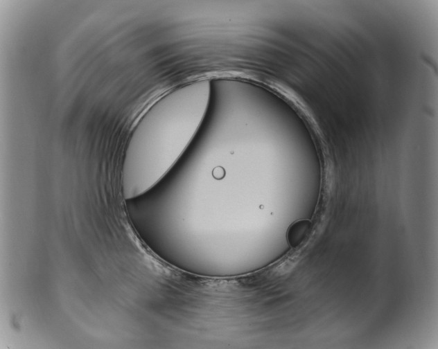 X0000101650809200807100938