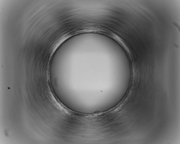 X0000101650810200807100938