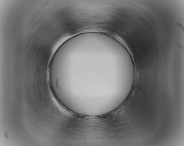 X0000101650811200807100938