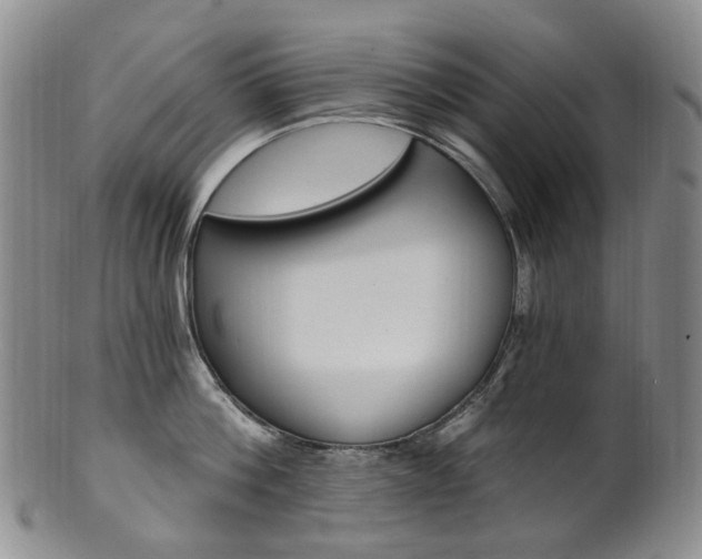 X0000101650812200807100938