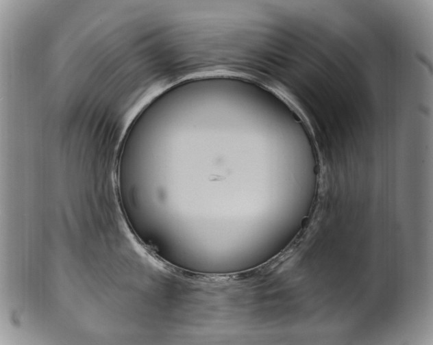 X0000101650813200807100938