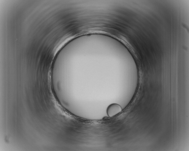 X0000101650814200807100938