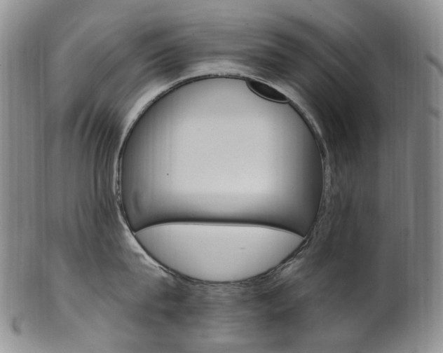 X0000101650815200807100938