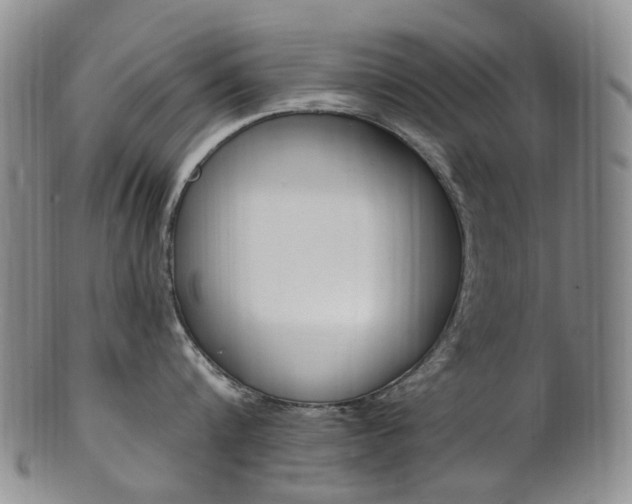 X0000101650816200807100938