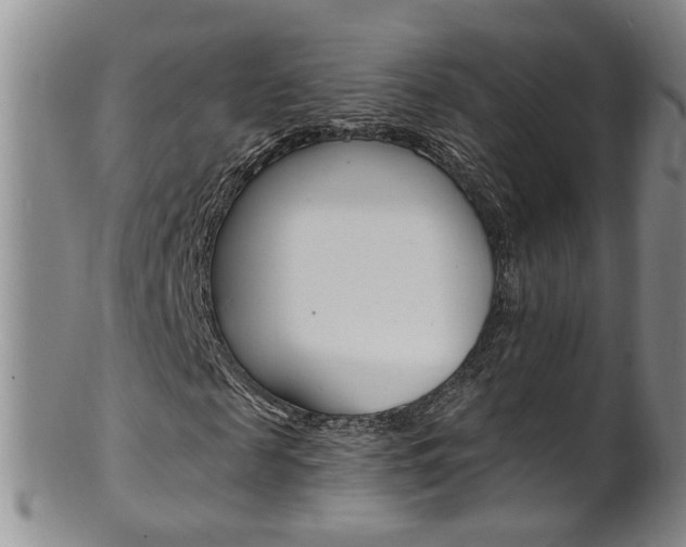 X0000101650817200807100937