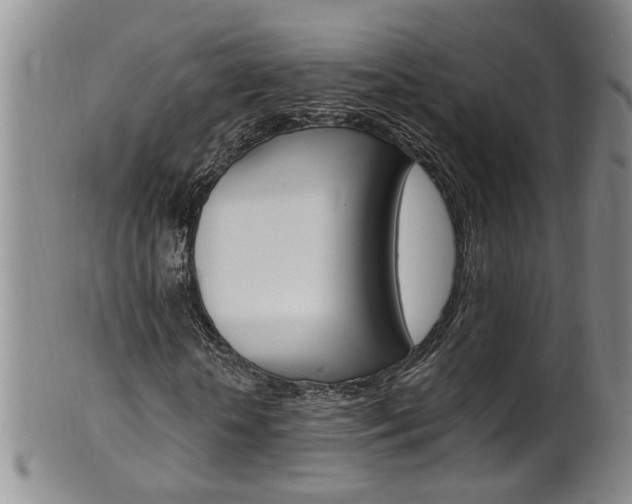 X0000101650818200807100938