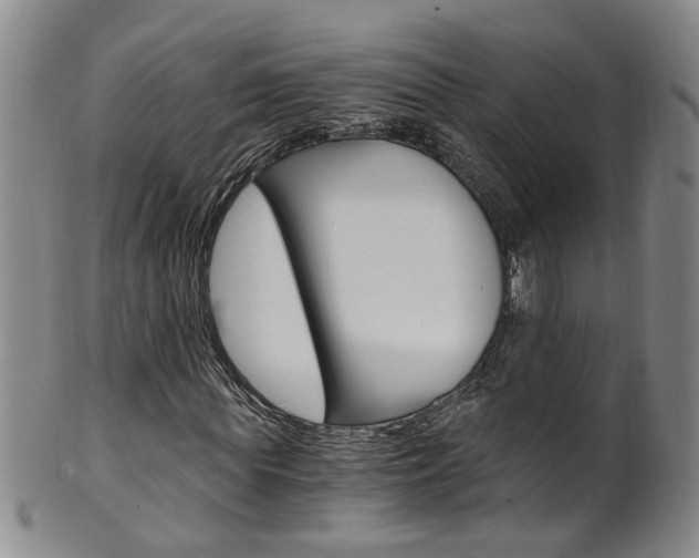 X0000101650819200807100938