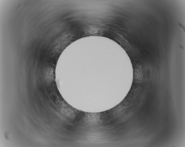 X0000101650820200807100938