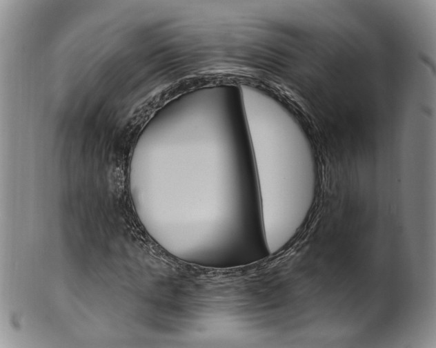 X0000101650821200807100938