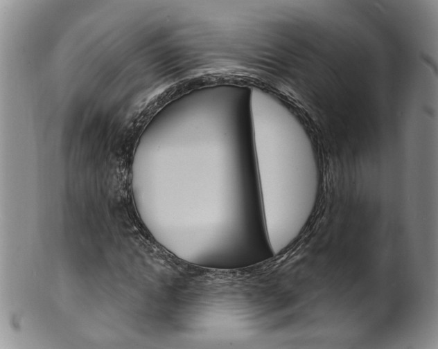 X0000101650822200807100938