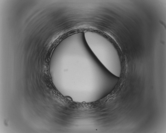 X0000101650823200807100938