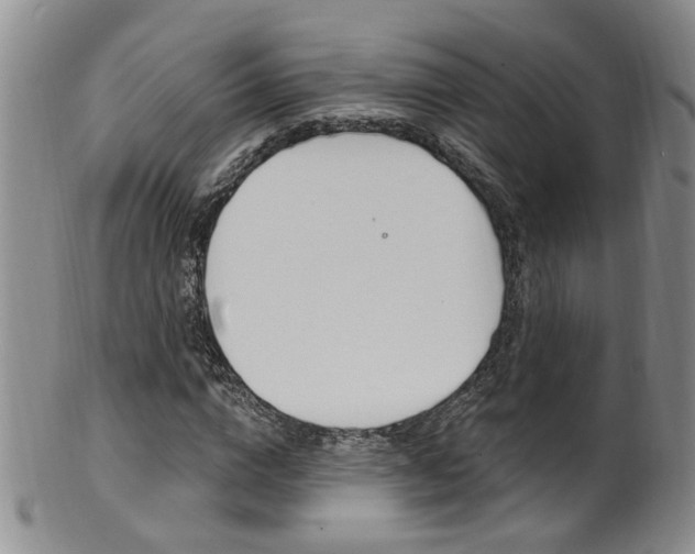 X0000101650824200807100938