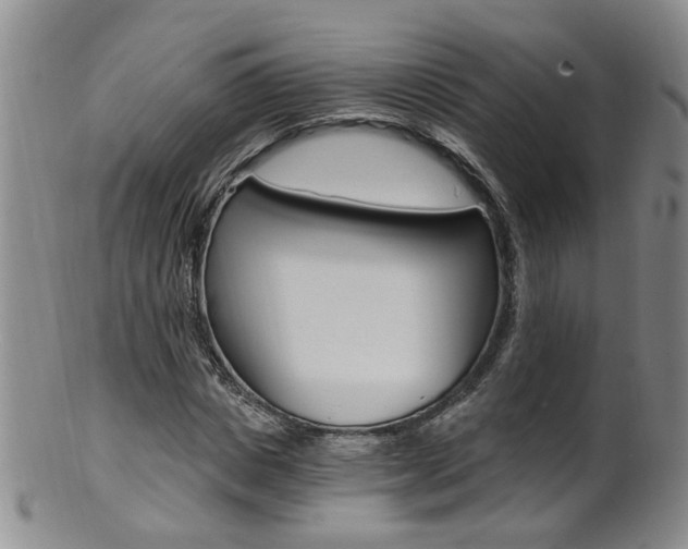 X0000101650825200807100938