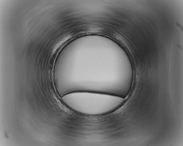 X0000101650827200807100938