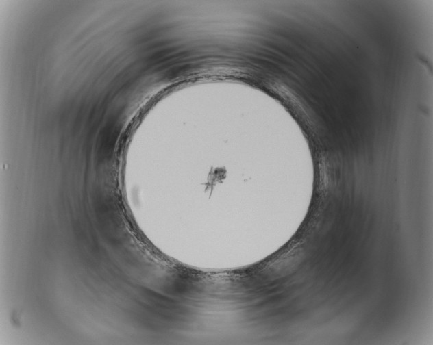 X0000101650828200807100938
