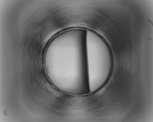 X0000101650830200807100938