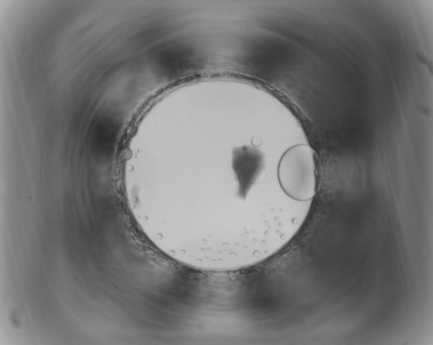 X0000101650832200807100938
