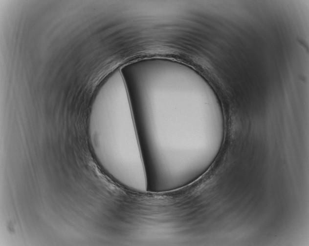 X0000101650833200807100938