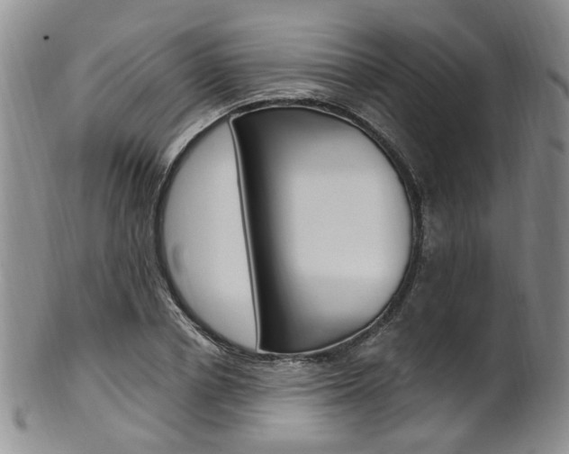 X0000101650834200807100938