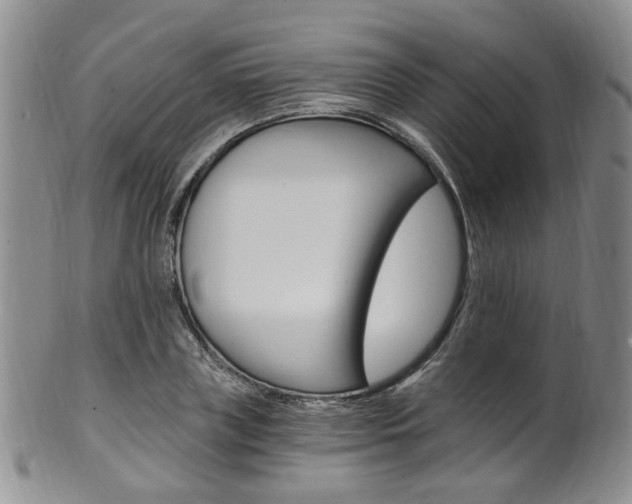 X0000101650835200807100938