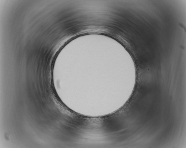 X0000101650836200807100938