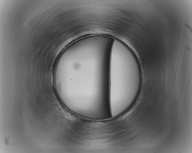 X0000101650837200807100938