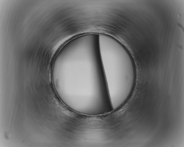X0000101650838200807100938