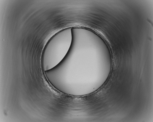 X0000101650839200807100938