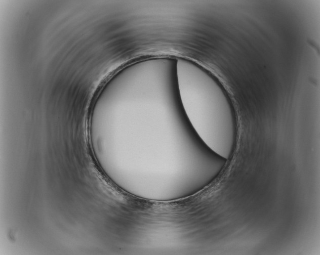 X0000101650840200807100938