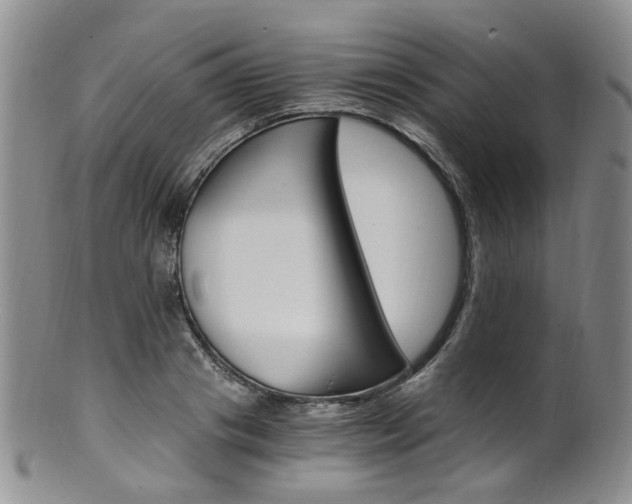 X0000101650841200807100938