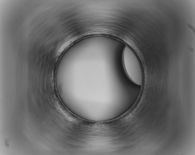 X0000101650842200807100938