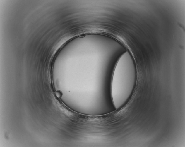 X0000101650843200807100938