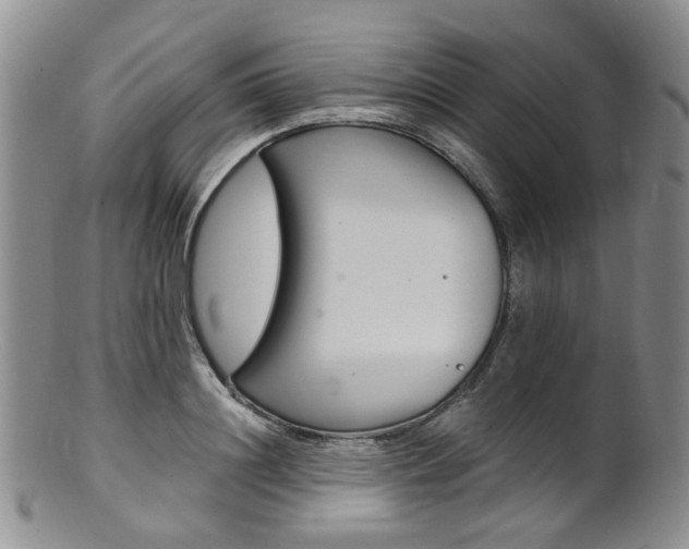 X0000101650844200807100938