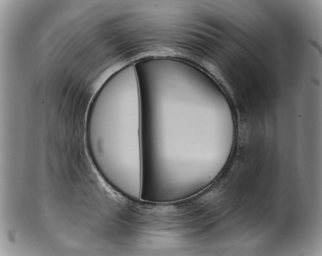 X0000101650845200807100938