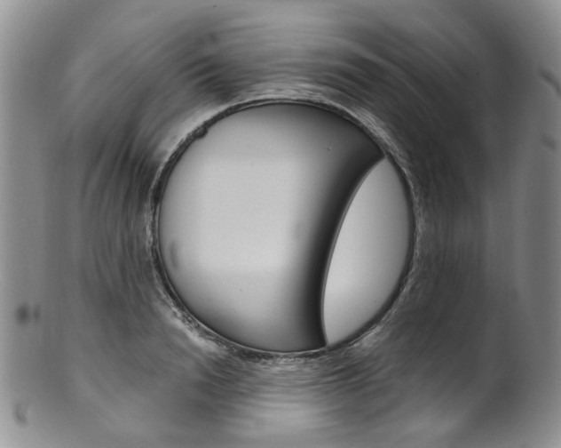 X0000101650846200807100938