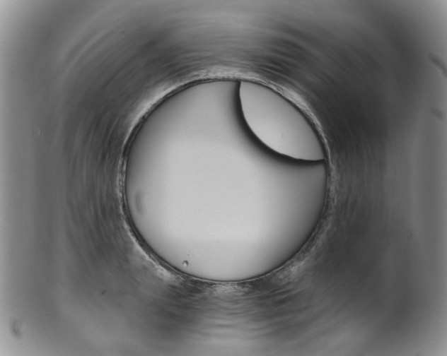 X0000101650847200807100938