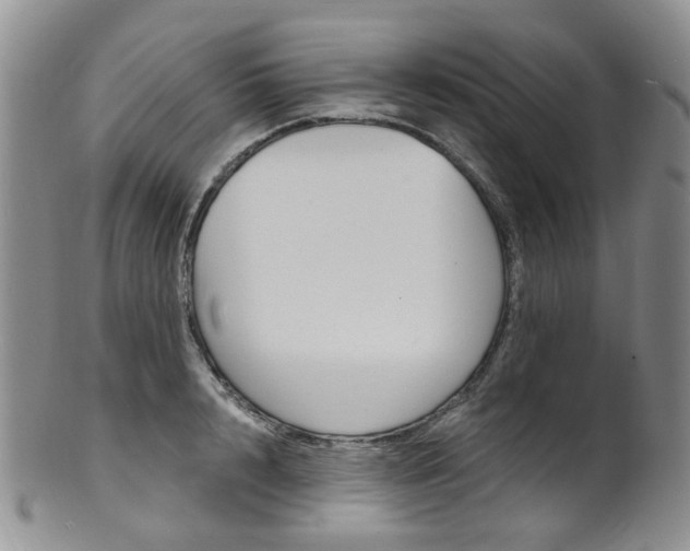 X0000101650848200807100938